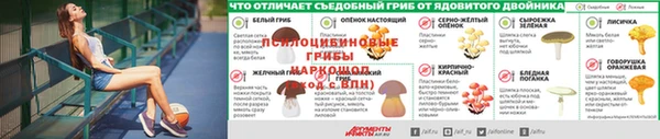 мескалин Алексин