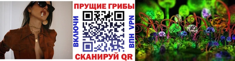 Галлюциногенные грибы Psilocybe  Ессентукская 